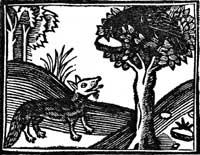 24) Enxiemplo de la raposa et del cuervo | La transformación y adaptación  de la tradición esópica en el Libro del Buen Amor